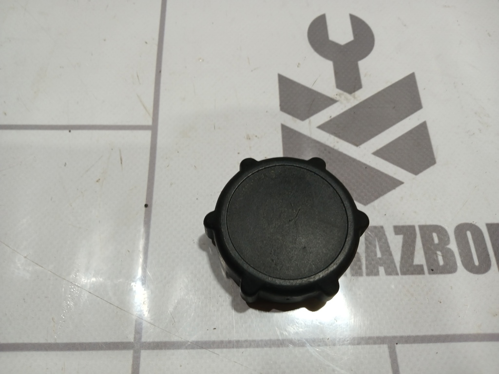 Ford Focus 1 1998-2004 для Крышка бачка гидроусилителя