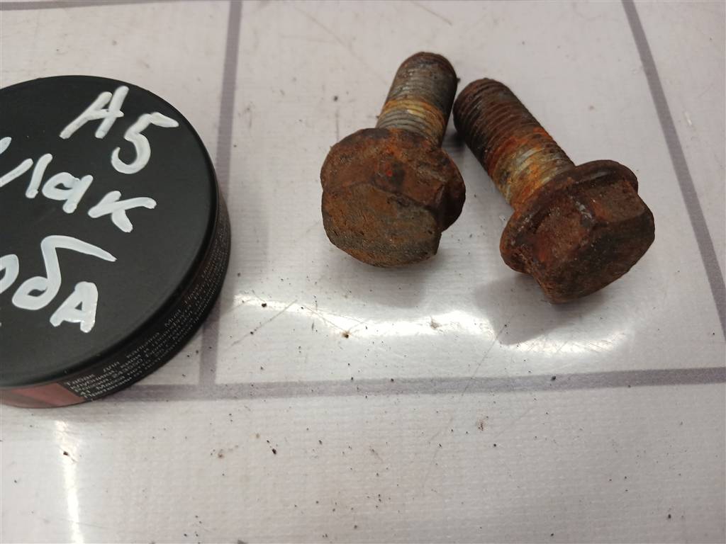 Skoda Octavia A5 1Z   04-13 для Болт