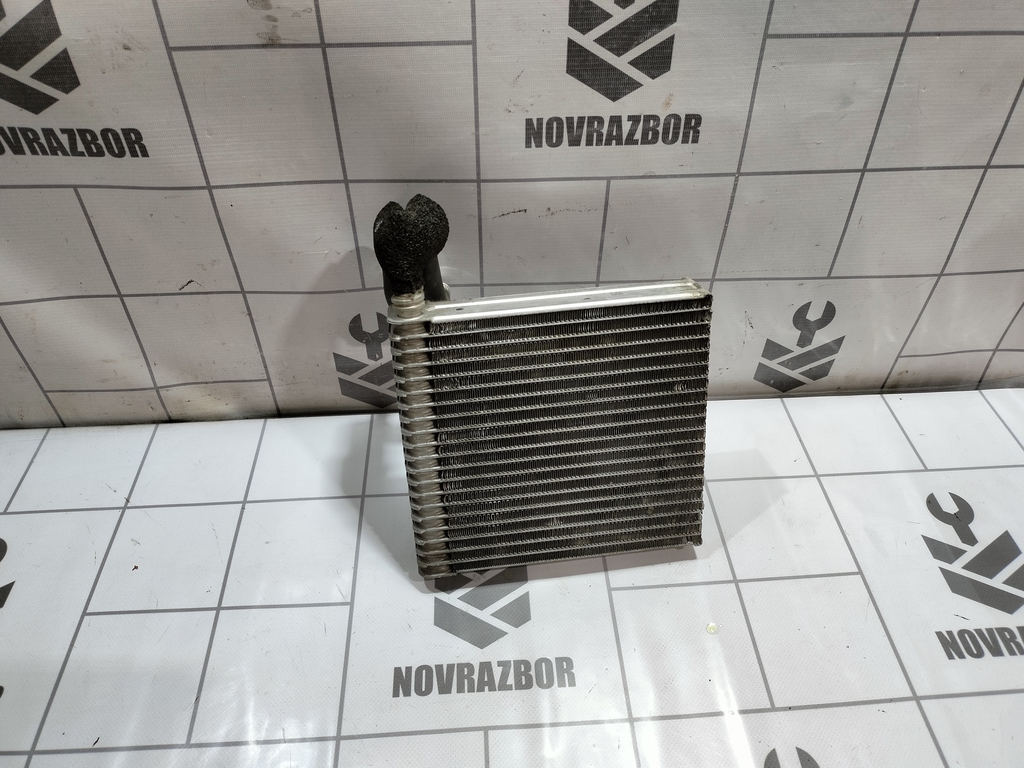 Renault Clio 3  2005-2012 для Испаритель кондиционера