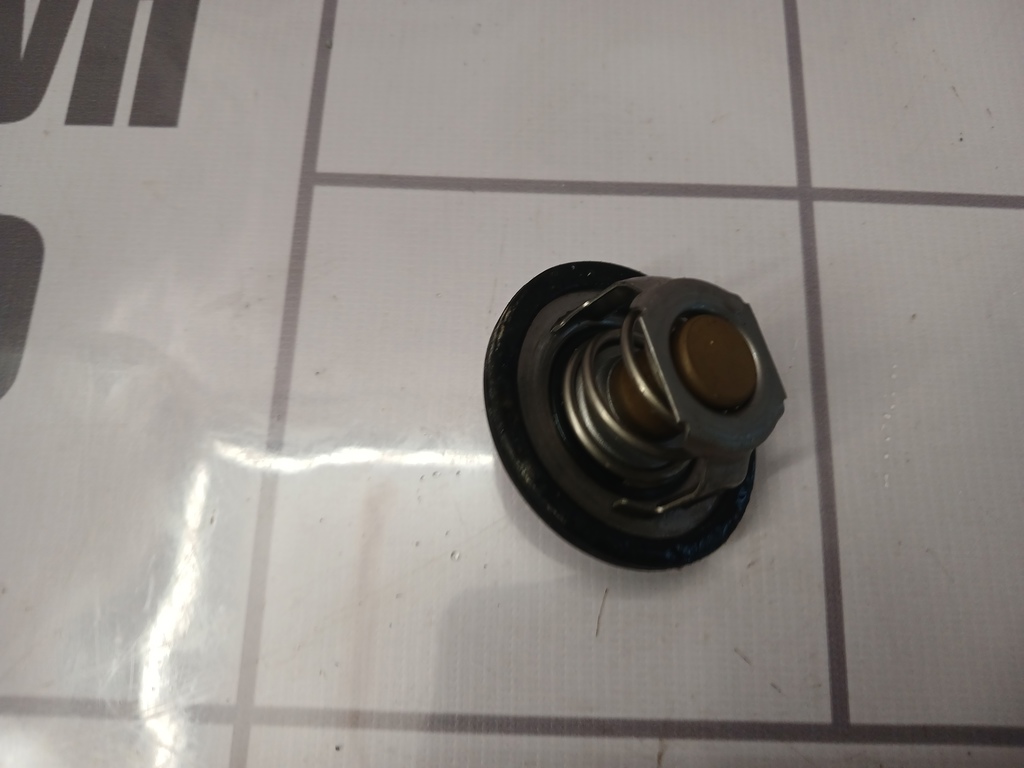 Renault Logan 2005-2014 для Термостат