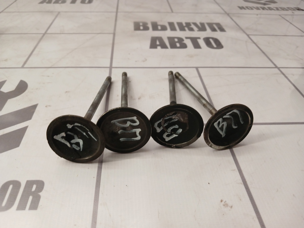 Ford Focus 1 1998-2004 для Клапан впускной