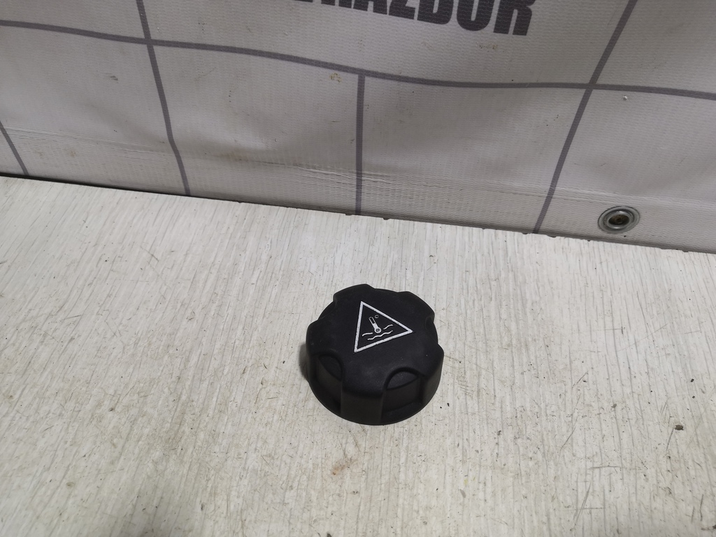 Peugeot 307 2001-2008 для Крышка расширительного бачка