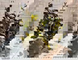 МКПП механическая коробка для Chery QQ6 S21 07-10  запчасти бу