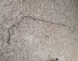 Трубка тормозная для LADA VESTA 15-19  запчасти бу