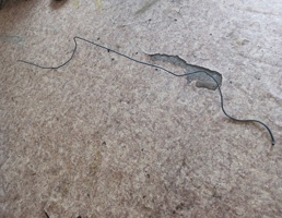 Трубка топливная для Nissan Almera N16 2000-2006  запчасти бу