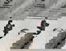 Провод для Ford Focus 2 05-08  запчасти бу