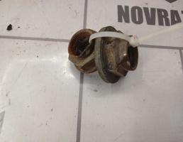 Гайка ступицы для Kia Spectra 2001-2011  запчасти бу