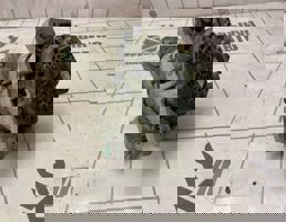 Генератор для Renault Logan 2 14-18  запчасти бу