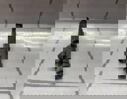 Форсунка инжекторная для Ford Focus 1 1998-2004  запчасти бу