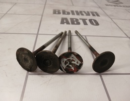 Клапан выпускной для Ford Focus 1 1998-2004  запчасти бу