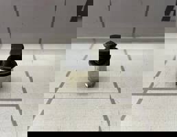 Прикуриватель для Renault Megane 3 09-16  запчасти бу