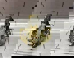 Ответная часть замка двери для Ford Focus 1 1998-2004  запчасти бу