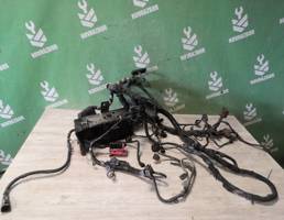 Проводка (коса) для Ford Transit FA 2000-2006  запчасти бу