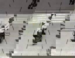 Петля двери для Renault Megane 3 09-16  запчасти бу