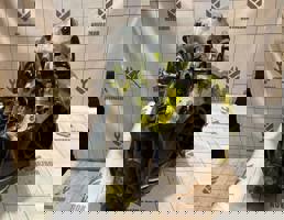 МКПП механическая коробка для Ford Focus 2 05-08  запчасти бу