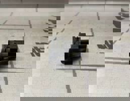 Кнопка стеклоподъемника для Ford Focus 1 1998-2004  запчасти бу