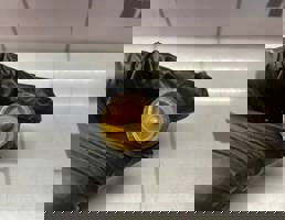 Датчик температуры для Renault Megane 3 09-16  запчасти бу