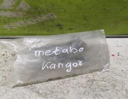 Опора шаровая для Renault Kangoo 97-03  запчасти бу