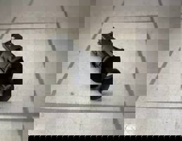 Выключатель концевой для Renault Logan 2 14-18  запчасти бу