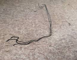 Трубка топливная для Ford Focus 1 1998-2004  запчасти бу